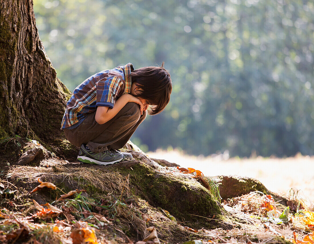 Young boy in a contemplative mood in a forest under an oak tree in a rainforest, Langley, British Columbia, Canada