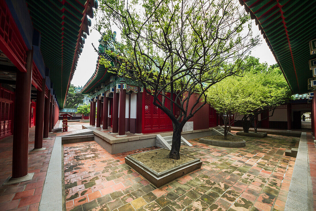 'Trees in the courtyard of the Zheng Chenggong Koxinga Shrine; Tainan, Taiwan'