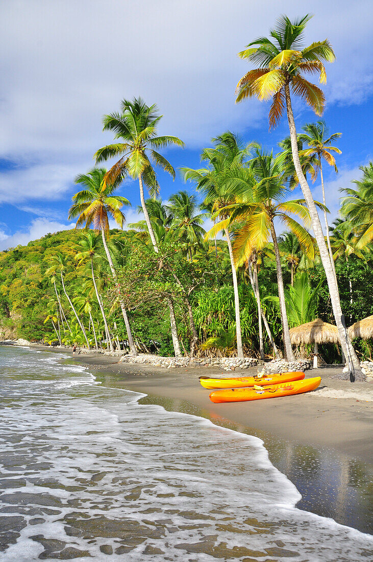Palmen und Boote am Strand von Anse Mamin, Anse Chastanet, Meer, Soufriere, St. Lucia, Saint Lucia, Kleine Antillen, Westindische Inseln, Windward Islands, Antillen, Karibik, Mittelamerika
