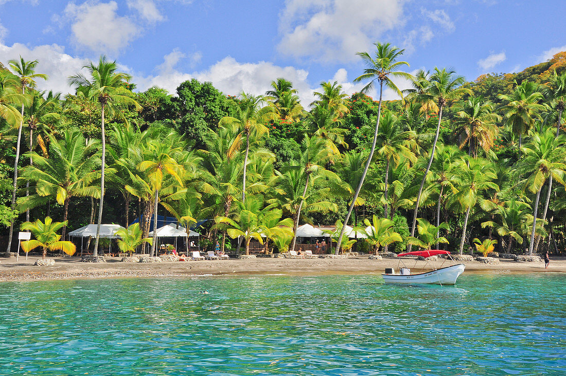 Palm trees, bar, parasols and boat at Anse Mamin beach, Anse Chastanet, sea, Soufriere, St. Lucia, Saint Lucia, Lesser Antilles, West Indies, Windward Islands, Antilles, Caribbean, Central America