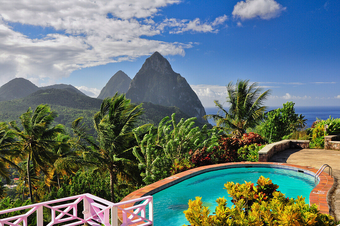 swimming pool of La Haut Plantation hotel with view to palm trees and volcano mountains The Pitons with Gros and Petit Piton, UNESCO world heritage, Soufriere, St. Lucia, Saint Lucia, Lesser Antilles, West Indies, Windward Islands, Antilles, Caribbean, Ce