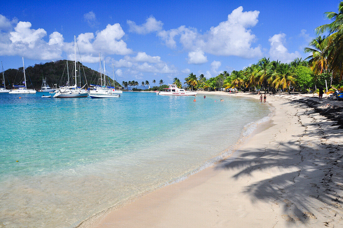 Beach with sailing ships, palms and bathing tourists, sea, Saltwhistle Bay, Mayreau, Tobago Cays, St. Vincent, Saint Vincent and the Grenadines, Lesser Antilles, West Indies, Windward Islands, Antilles, Caribbean, Central America