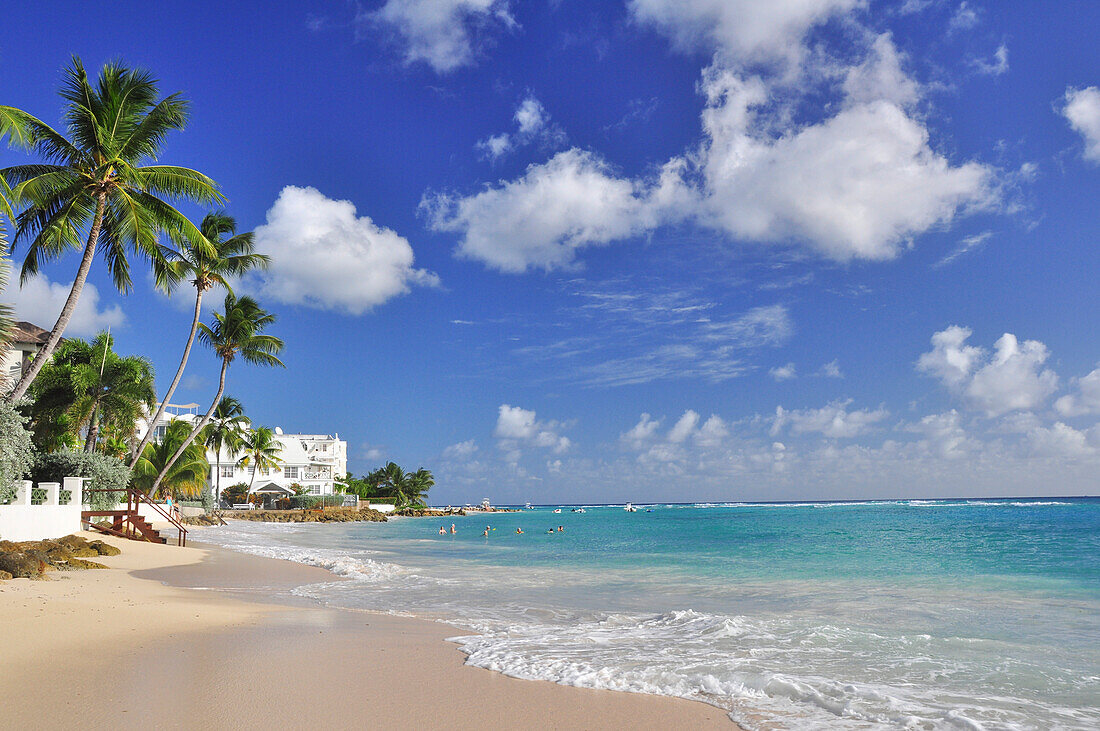 Beach with palm trees and villas near Accra beach, sea, south coast, Barbados, Lesser Antilles, West Indies, Windward Islands, Antilles, Caribbean, Central America