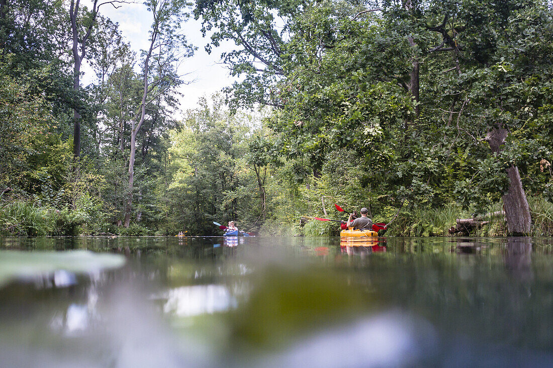 Kajak-Touristen paddeln durch das Biosphärenreservat Spreewald. Aufnahme auf Niveau der Wasseroberfläche, Biosphärenreservat, Schlepzig, Brandenburg, Deutschland