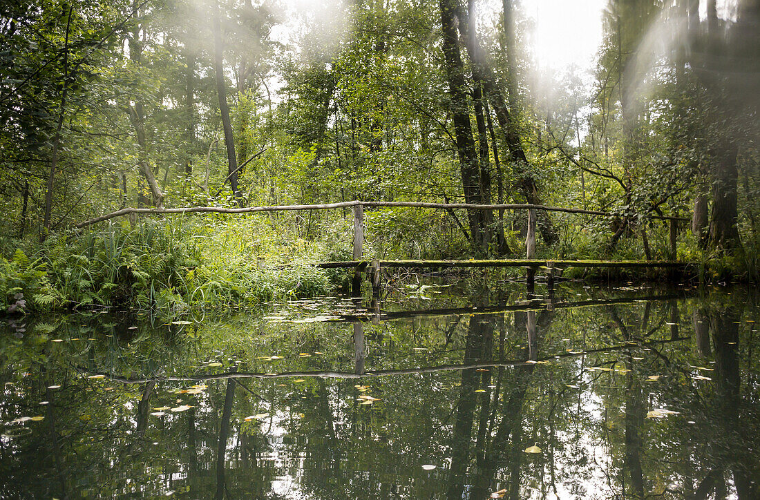 Alte, verrottete, mit Moos überwachsene Holzbrücke über einem Fließ im Spreewald bei schlechtem Wetter, Regen, Biosphärenreservat, Schlepzig, Brandenburg, Deutschland