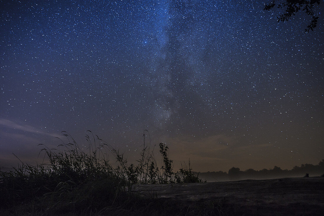 Starry sky with clear visible Milky way above the Spreewald. Stump of a tree and meadow in the foreground, biosphere reserve, Schlepzig, Brandenburg, Germany