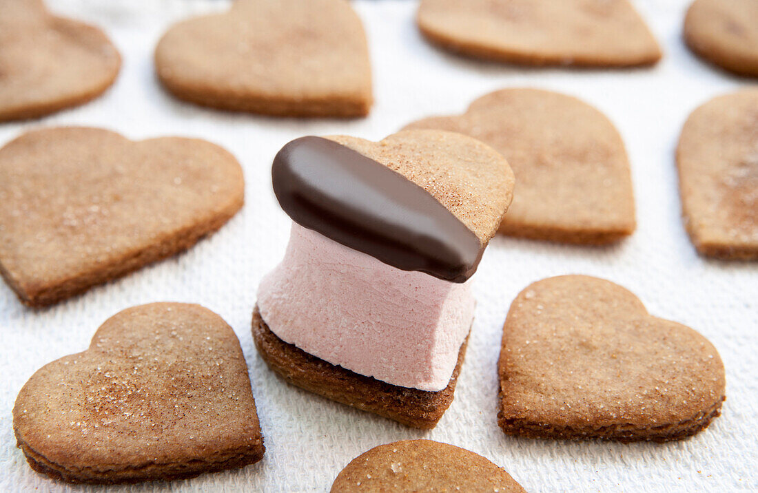 Heart-Shaped Graham Cracker Cookies and S'more Filled with Pink Marshmallow