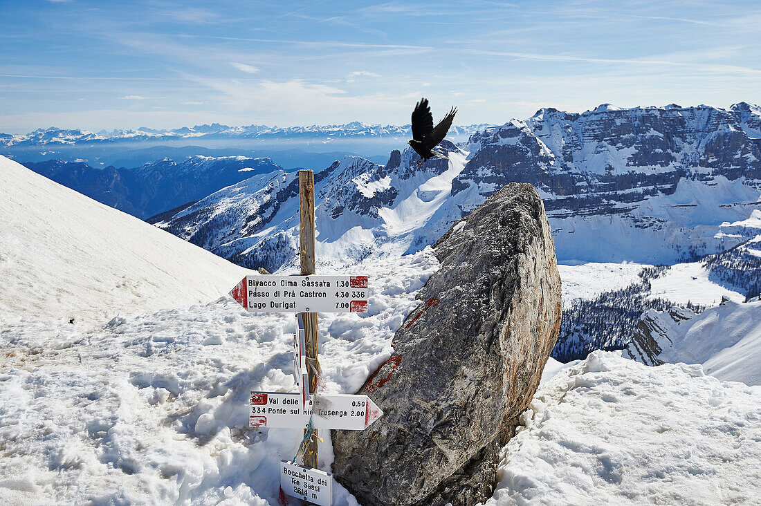 Der Sattel des Bocchetta die Tres Cime in der Brenta Dolomites Madonna di Campiglio Ski, climbing, Skitour, Brenta Gebirge, Dolomites, Trentino, Italien