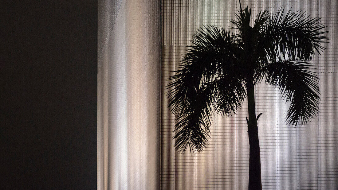 abstrahierte Palme, Museums Komplex bei Nacht, Kowloon, Hongkong, China, Asien