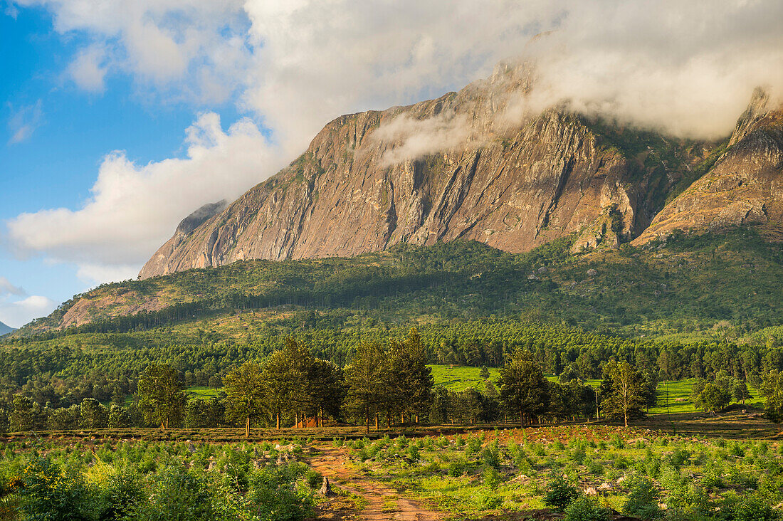 Mount Mulanje at sunset, Malawi, Africa