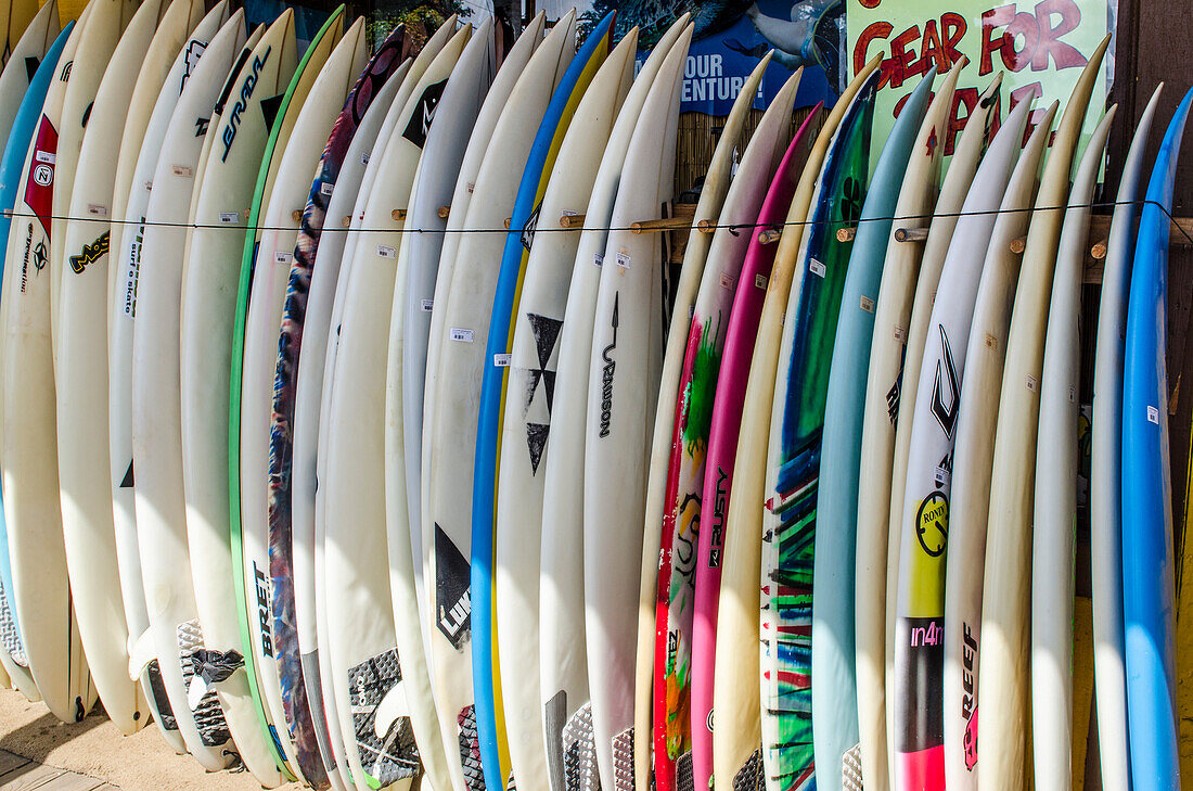 Surf shop in Haleiwa, North Shore Oahu, Hawaii, United States of America, Pacific