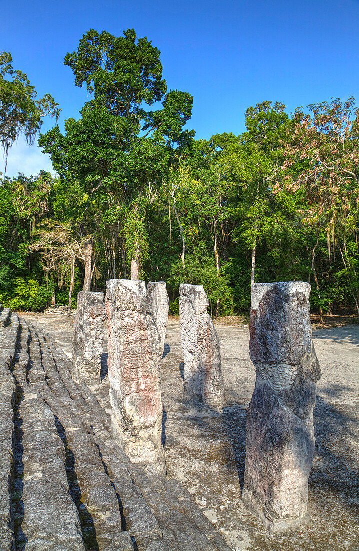 Stelae in front of Structure 2, Calakmul Mayan Archaeological Site, UNESCO World Heritage Site, Campeche, Mexico, North America