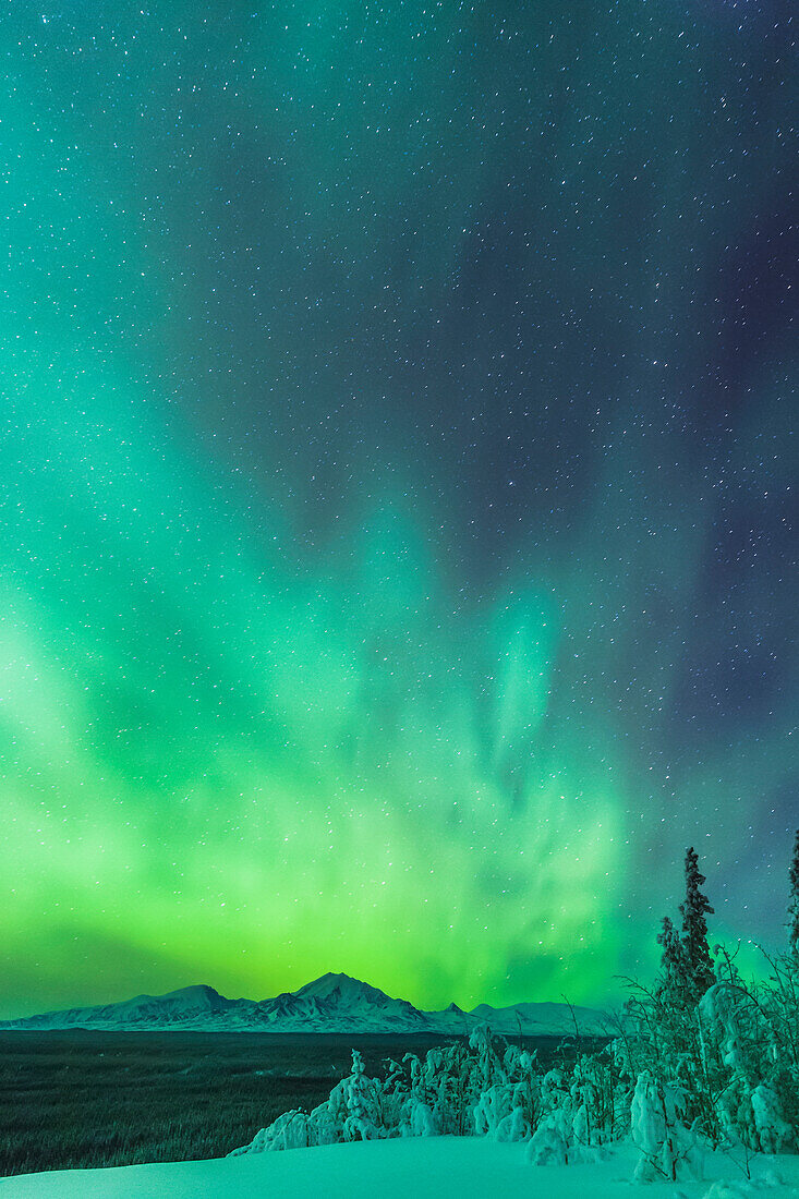 Green northern lights over the Copper River and Wrangell Mountains near Glennallen, Southcentral Alaska, USA, Winter