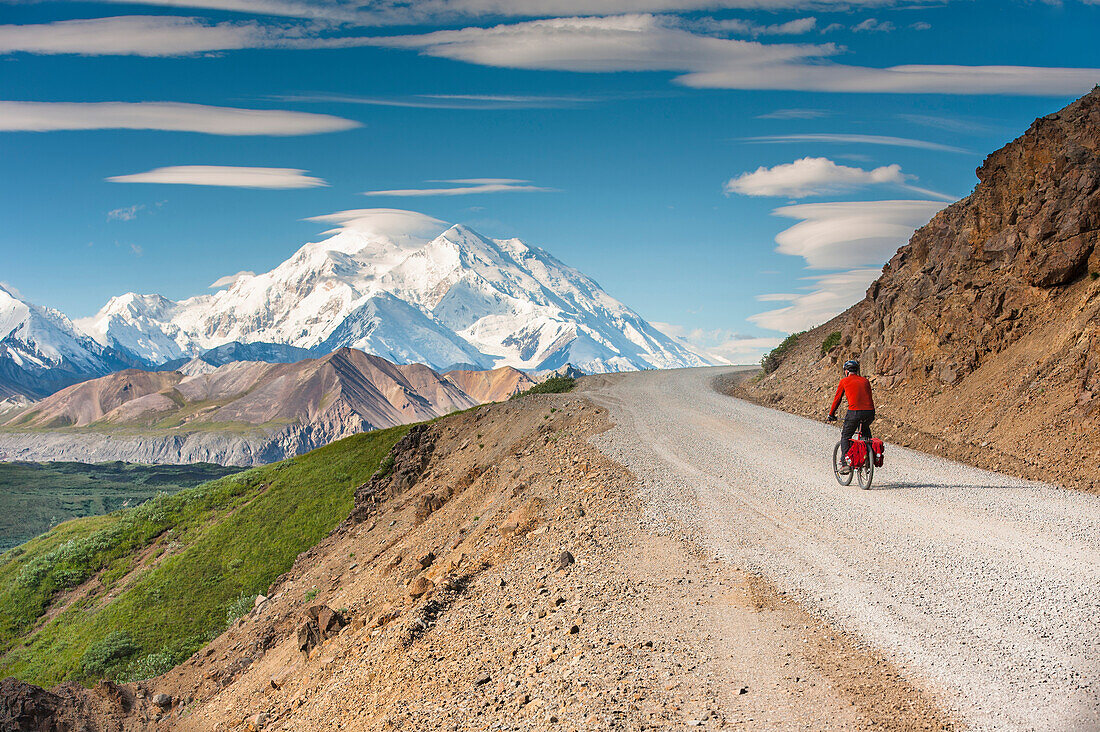 A man bicycle touring in Denali National Park with Mt. McKinley in the background, Interior Alaska, Summer