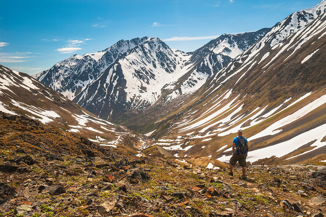Hiker on Crow Pass Trail, in Chugach State Park near Girdwood, Southcentral Alaska, Summer.