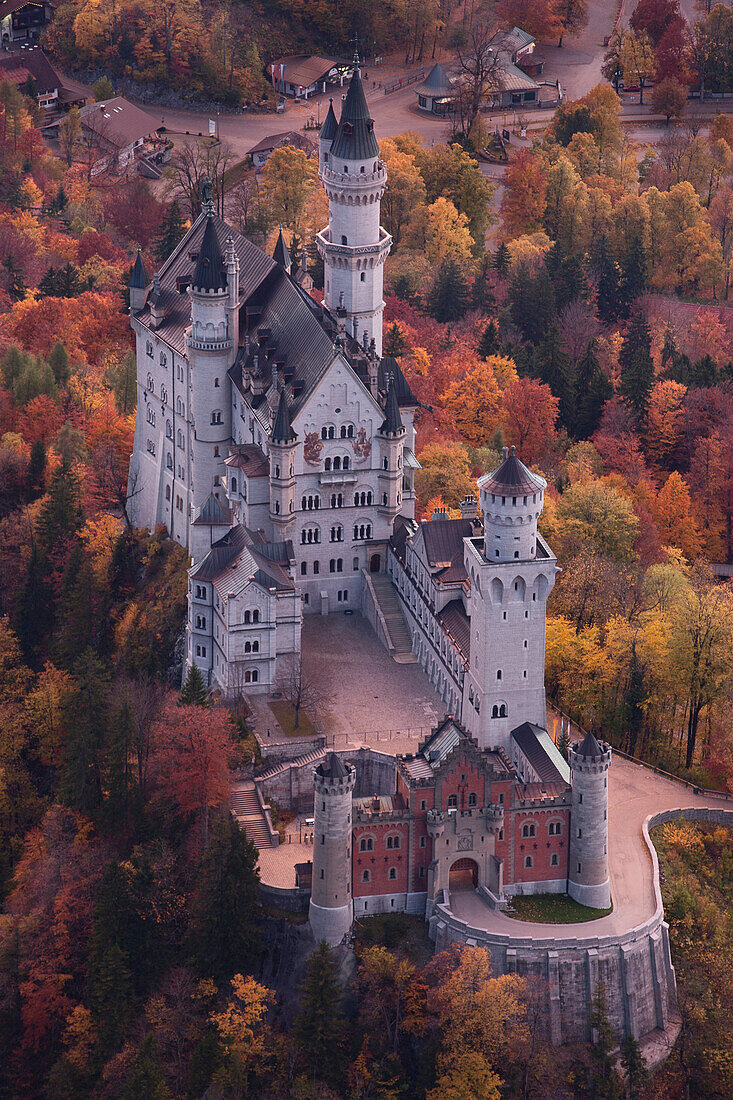 Blick auf das Schloss Neuschwanstein von oben im Herbst, Oberallgäu, Bayern, Deutschland