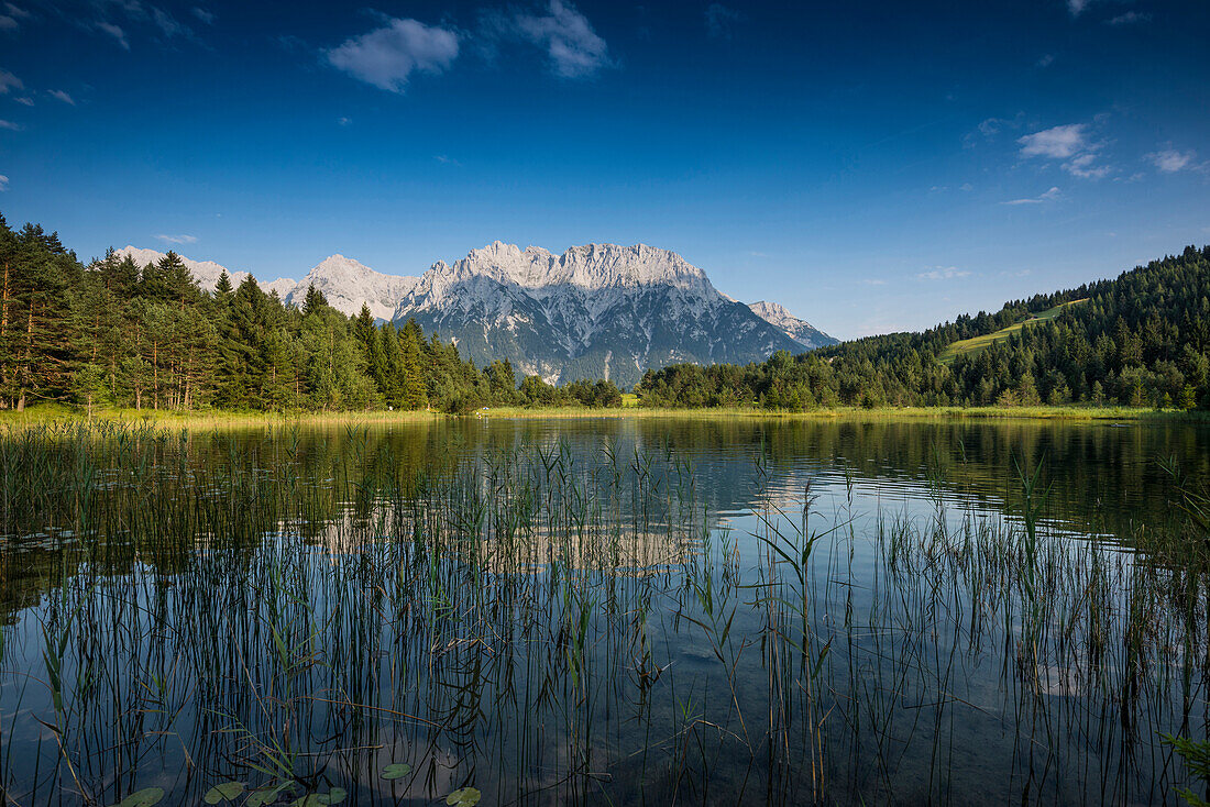 Luttensee, near Mittenwald, Upper Bavaria, Bavaria, Germany