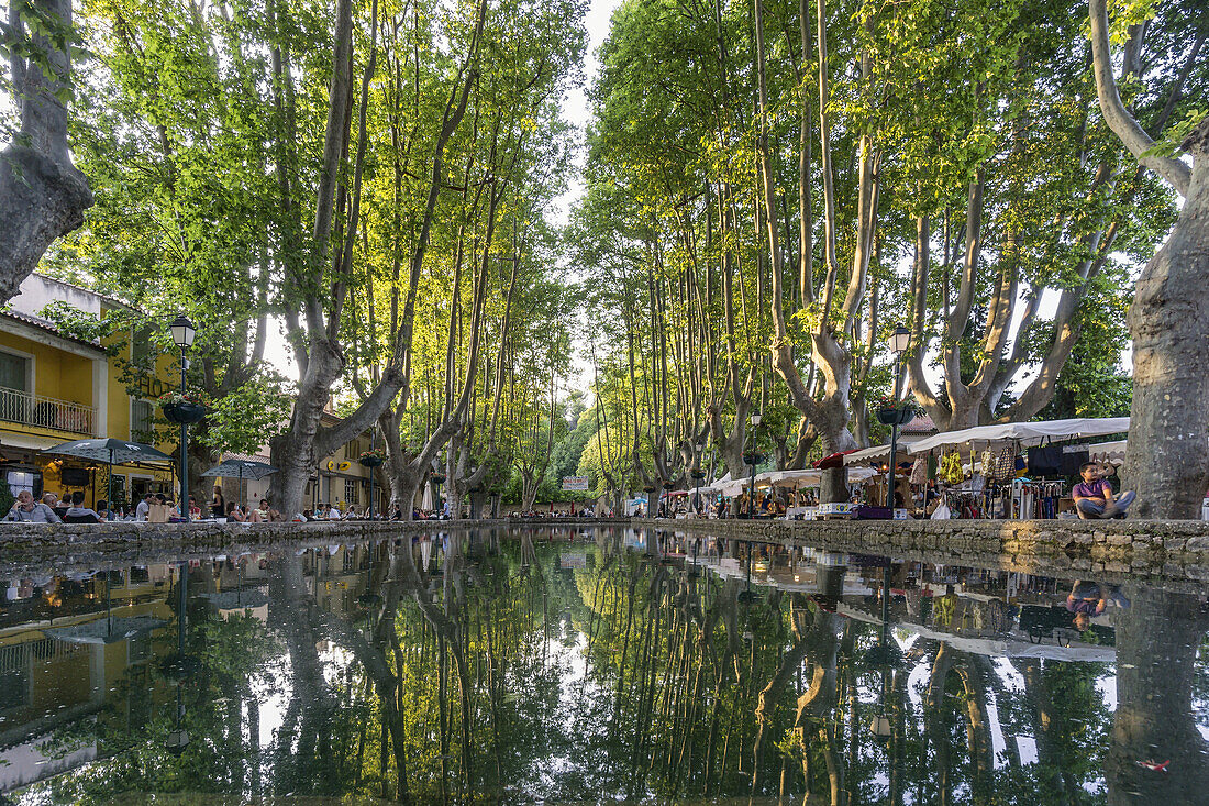 Etang, Teich mit Platanen, Dorfzentrum Cucuron, Provence-Alpes-Côte d’Azur, Frankreich