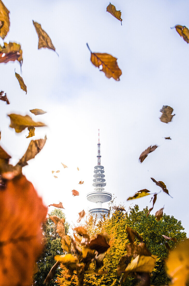 television tower of Hamburg in a autumn mood, Hamburg, Germany