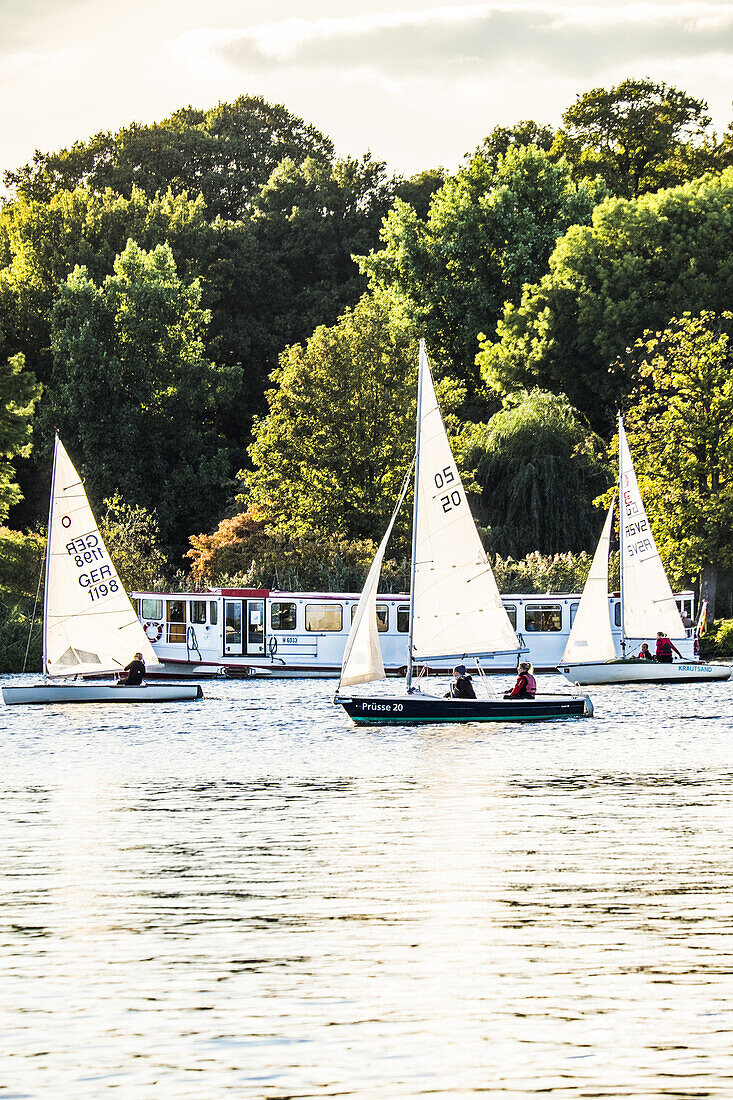 sailing boats and pleasure boat on the Outer Alster, Hamburg, north Germany, Germany