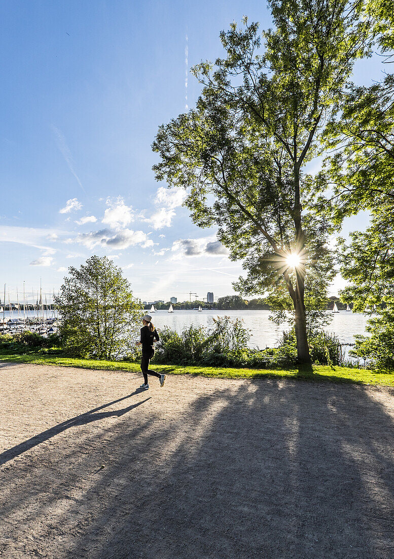 Jogger at the Outer Alster, Hamburg, north Germany, Germany