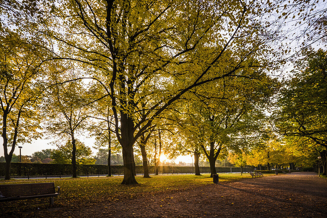 autumn mood in Hamburg Harburg, Hamburg, north Germany, Germany