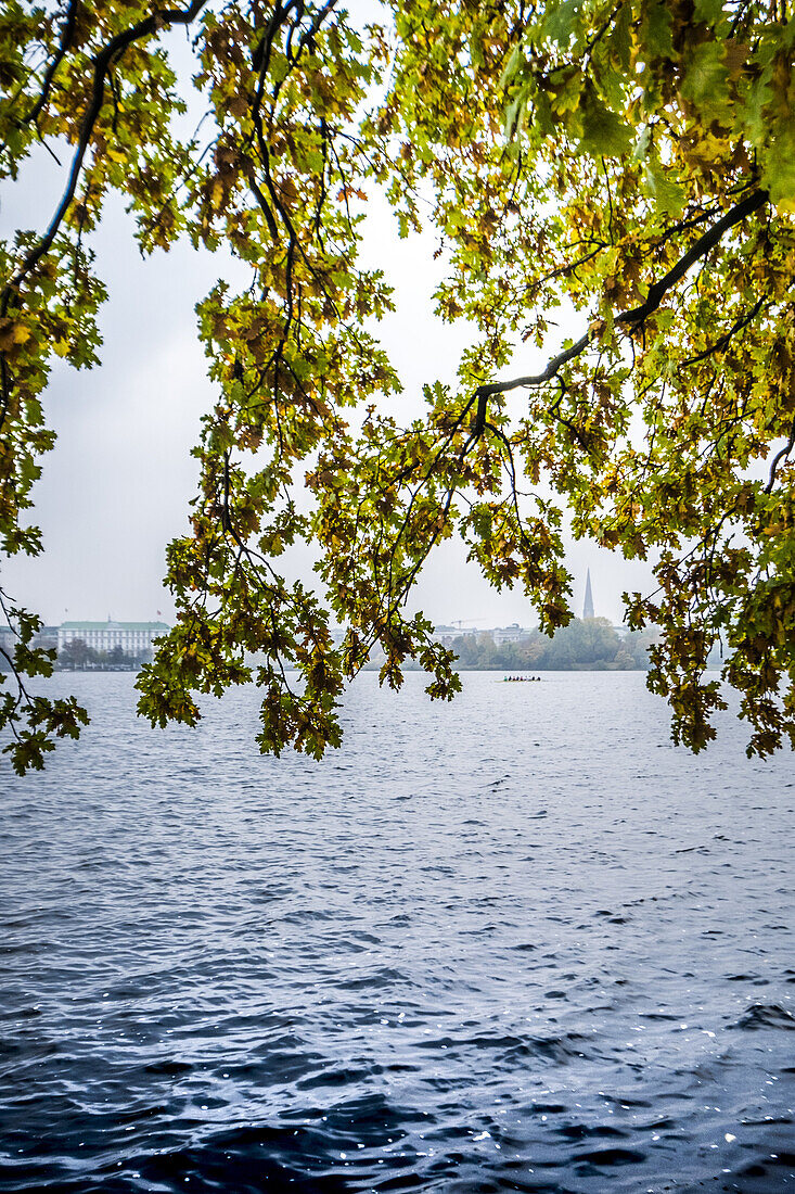 autumn mood at the Outer Alster, Hamburg, north Germany, Germany