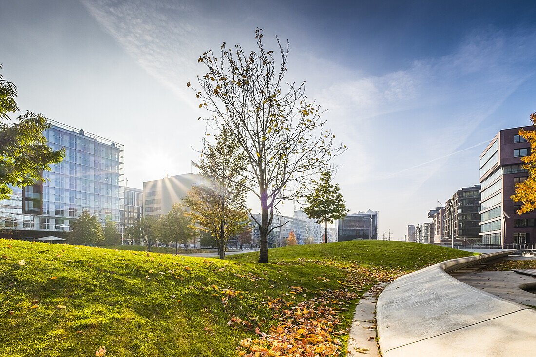 Herbststimmung in der Hamburger Hafencity am Sandtorpark, Hamburg, Norddeutschland Deutschland