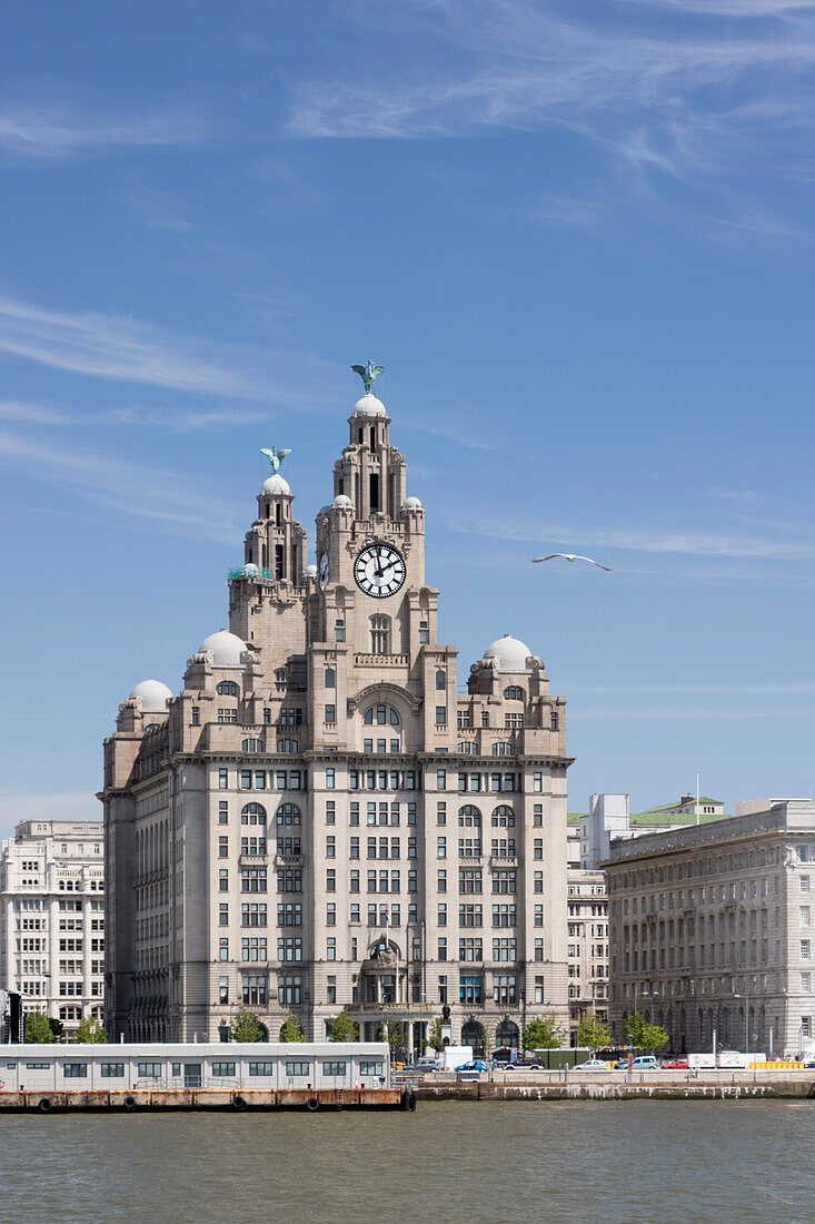 The Royal Liver Building from the Mersey, UNESCO World Heritage Site, Liverpool, Merseyside, England, United Kingdom, Europe