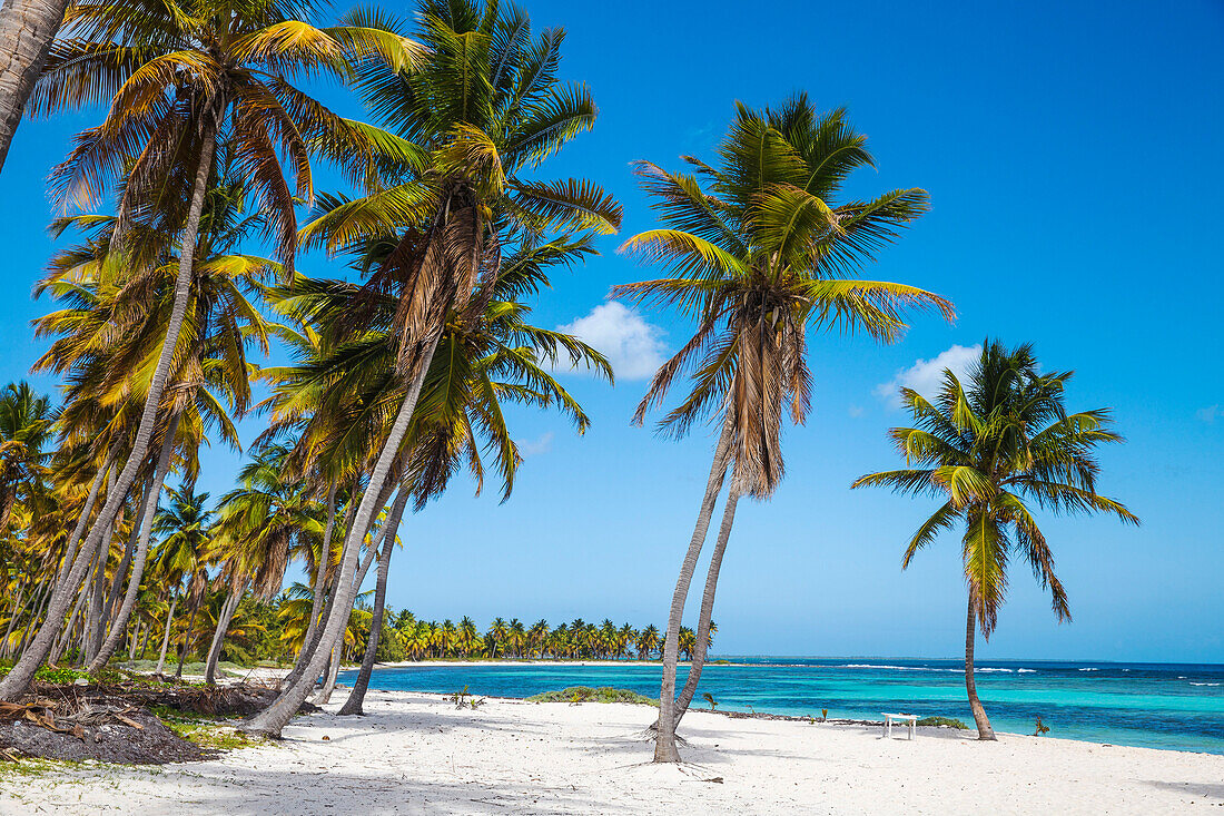 Canto de la Playa, Saona Island, Parque Nacional del Este, Punta Cana, Dominican Republic, West Indies, Caribbean, Central America