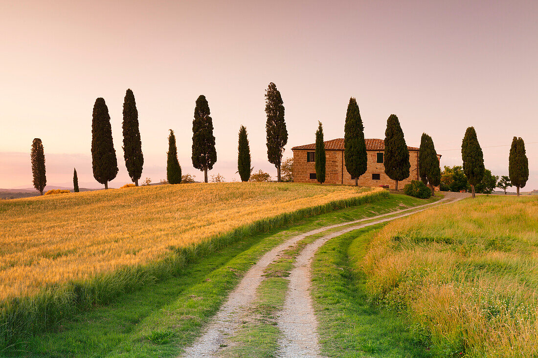 Farm house with cypress trees at sunset, near Pienza, Val d'Orcia Orcia Valley, UNESCO World Heritage Site, Siena Province, Tuscany, Italy, Europe