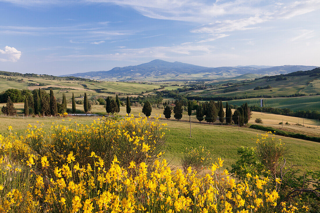 Tuscan landscape  with Monte Amiata, near Pienza, Val d'Orcia Orcia Valley, UNESCO World Heritage Site, Siena Province, Tuscany, Italy, Europe