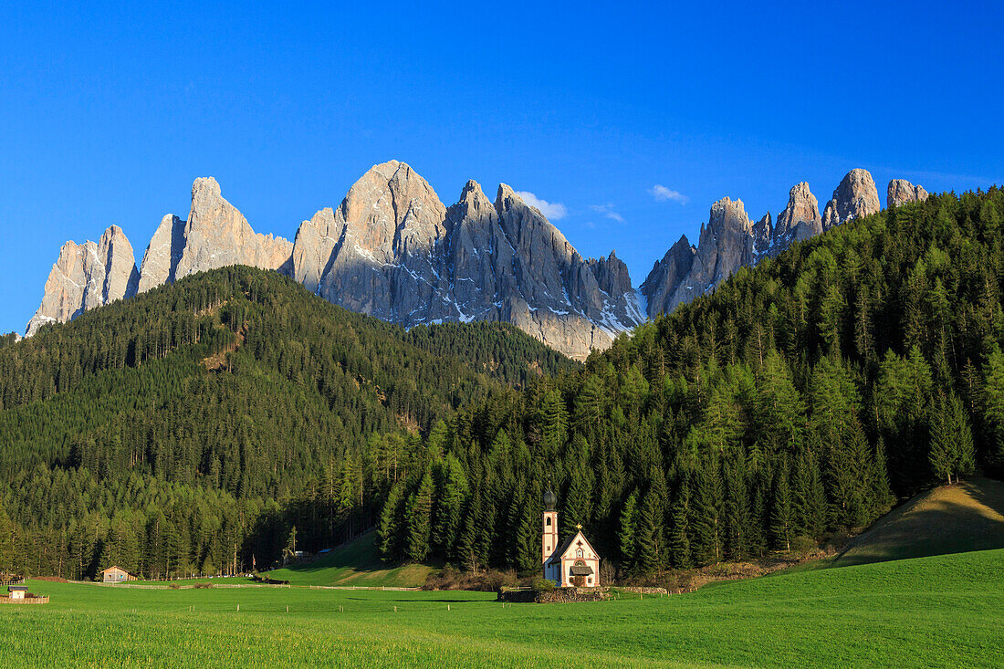 The Church of Ranui and the Odle group in the background, St. Magdalena, Funes Valley, Dolomites, South Tyrol, Italy, Europe