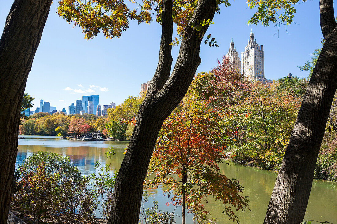 The Lake in autumn with colourful trees and landscape, skyline, Central Park, Manhatten, New York City, USA, America