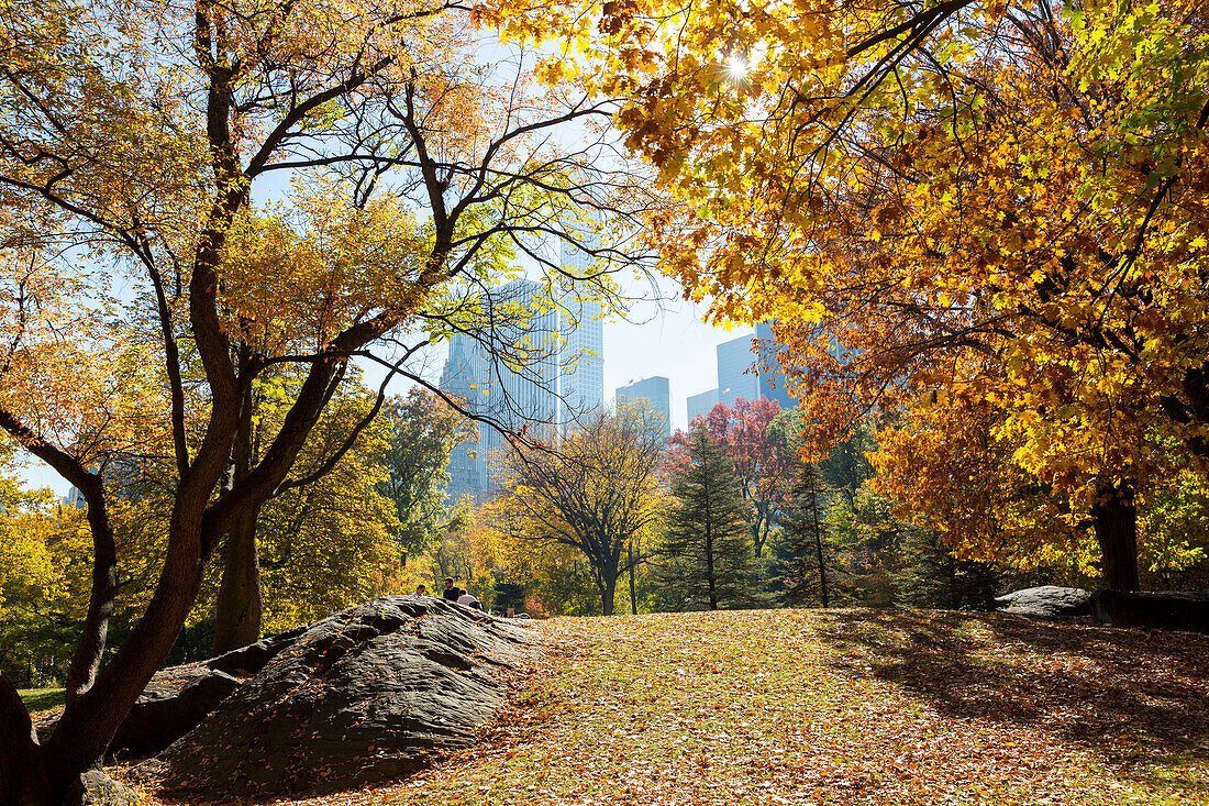 Autumn in Central Park, colourful trees and landscape, Indian summer, skyline in the background, Manhattan, New York City, USA, America