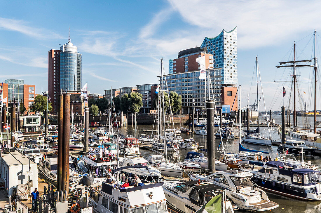 view over the Sport harbour to the Elbphilharmonie, Hafencity of Hamburg, north Germany, Germany