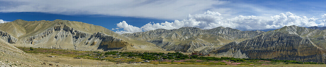 Tsarang, Charang, tibetische Ortschaft mit buddhistischem Kloster am Kali Gandaki Tal, dem tiefsten Tal der Welt, fruchtbare Felder gibt es in der Hochw?ste nur durch ein ausgekl?geltes Bew?sserungssystem, Mustang, Nepal, Himalaya, Asien