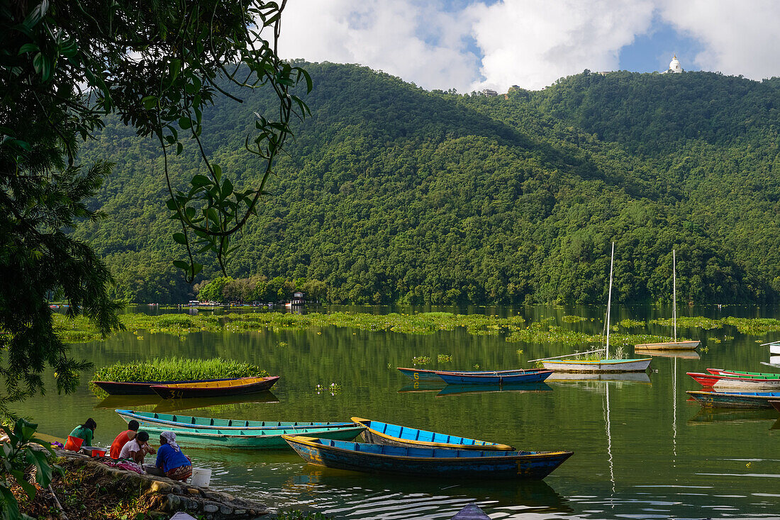 Wooden boats on lake Phewa next to the second largest city in Nepal, Pokhara, Nepal, Himalaya, Asia