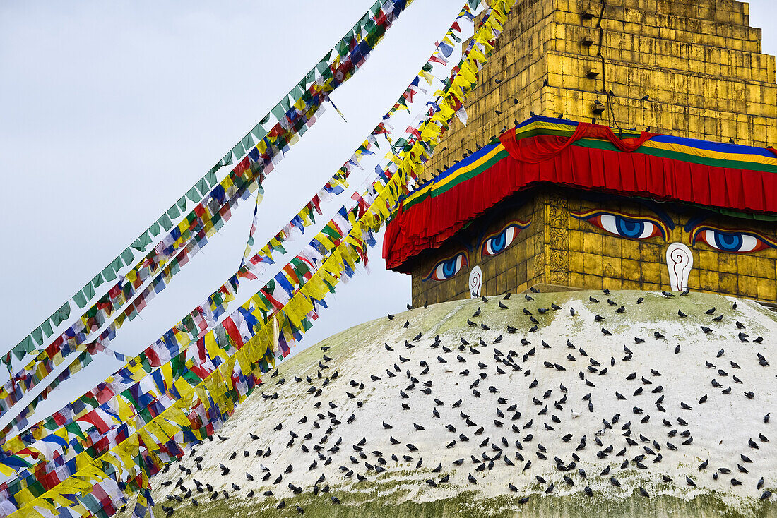Bodnath Stupa, Boudha, Boudnath, Bauddhanath, Kathmandu, Nepal, Himalaya, Asia