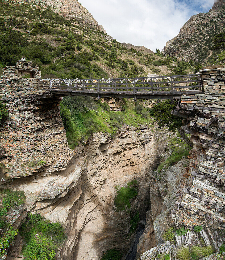 Eine der ältesten Holzbrücken Nepals auf dem Nar Phu Trek zwischen Meta und Nar, Nepal, Himalaya, Asien