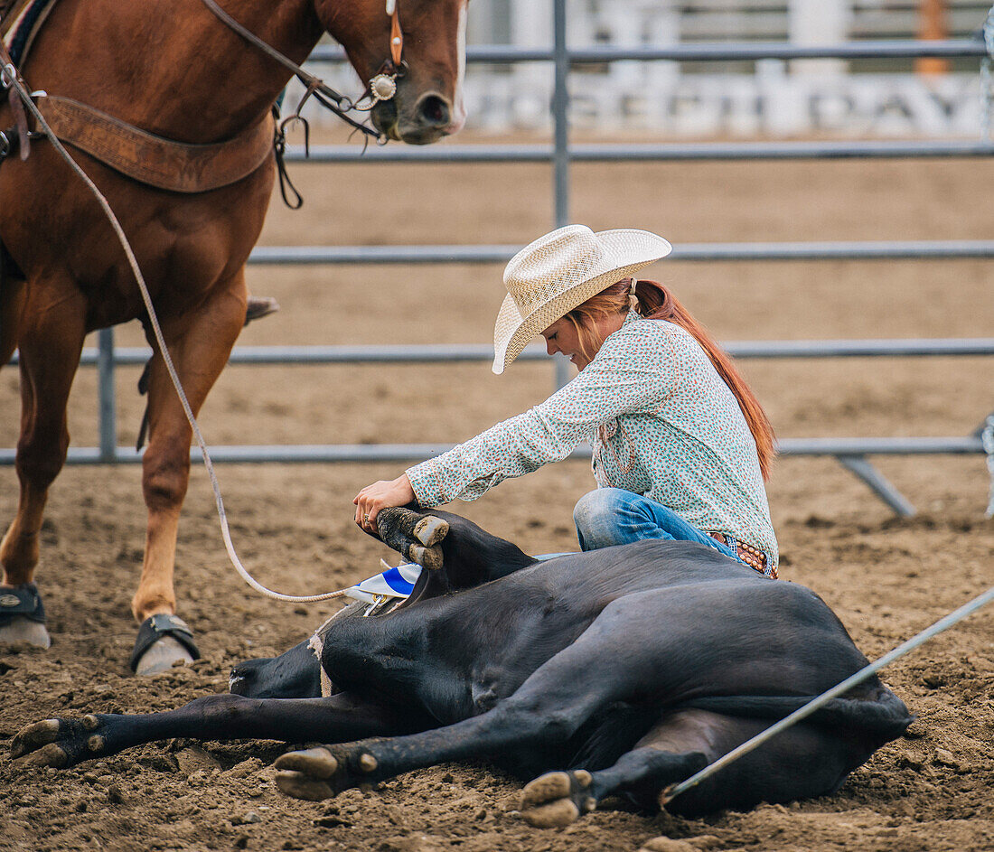 Caucasian cowgirl tying cattle in rodeo