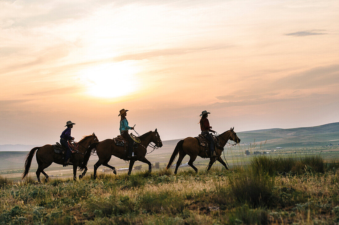 Cowgirls riding horses in rural field