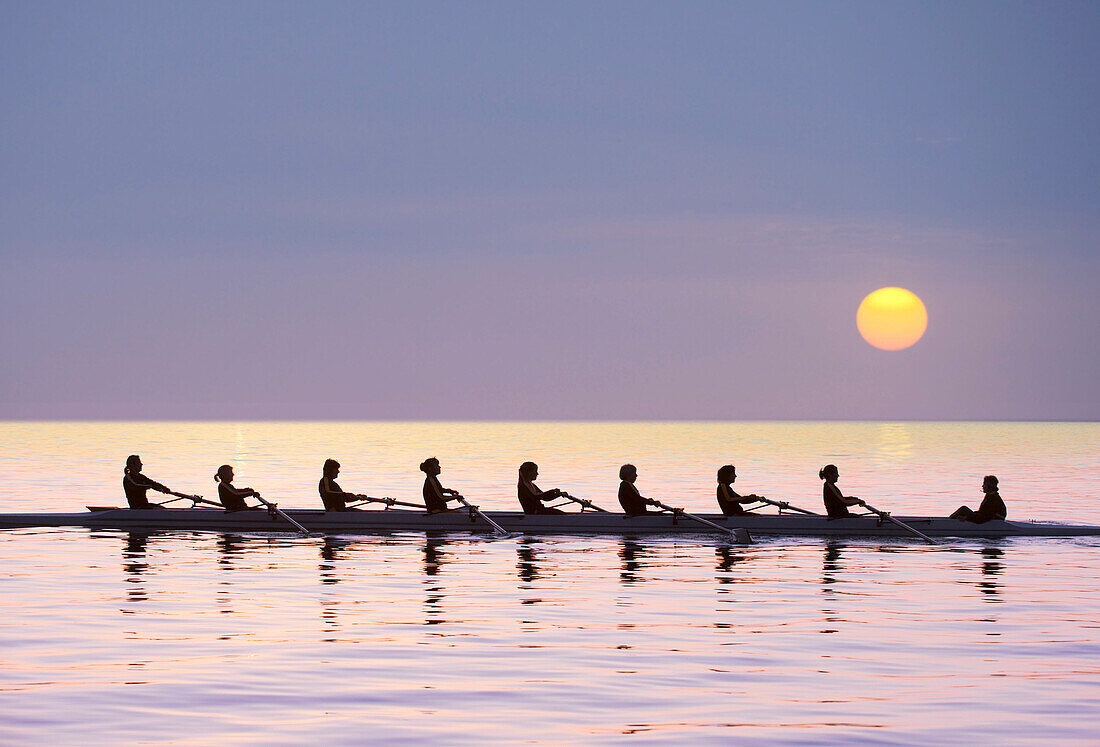 Silhouette of rowing team practicing on … – License image – 71071785 ...