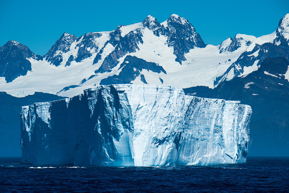 Majestaetische Eisberge und schneebedeckte Berge, nahe Gold Harbour, Suedgeorgien, Antarktis