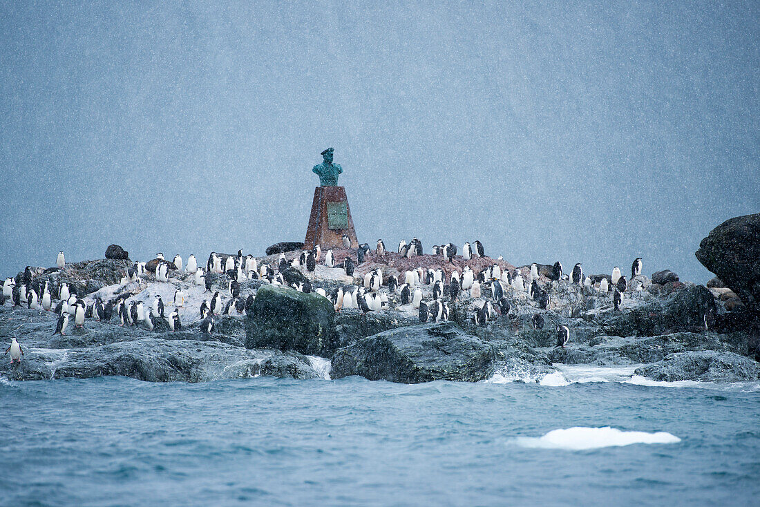 Chinstrap penguins Pygoscelis antarctica and monument, Point Wild, Elephant Island, South Shetland Islands, Antarctica