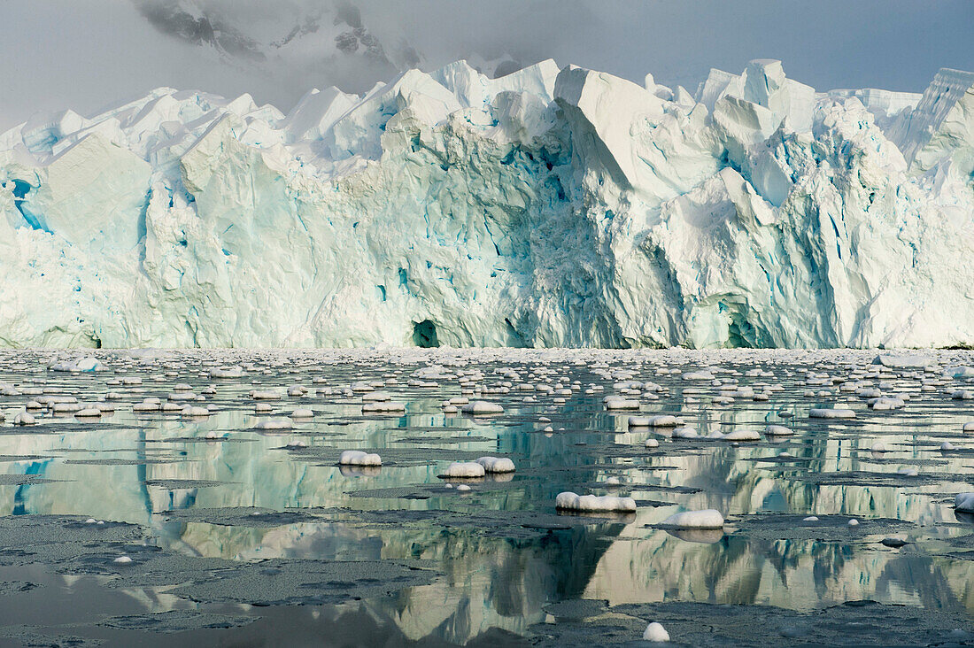 A massive glacier with a front wall of 30-40 meters is reflected in the still water, Paradise Bay Paradise Harbor, Danco Coast, Graham Land, Antarctica