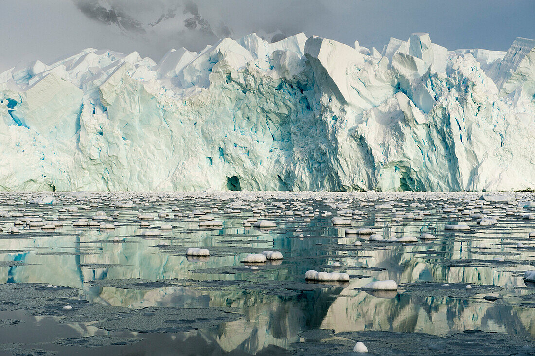 Riesiger Gletscher mit 30-40 Meter hoher Kante spiegelt sich in ruhigem Wasser, Paradise Bay Paradise Harbor, Danco-Kueste, Grahamland, Antarktis