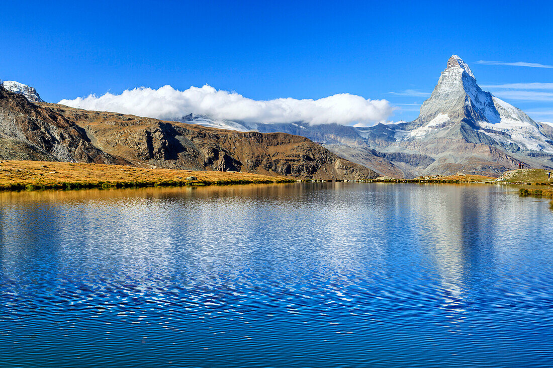 The Matterhorn reflected in Stellisee, Zermatt, Canton of Valais, Pennine Alps, Swiss Alps, Switzerland, Europe