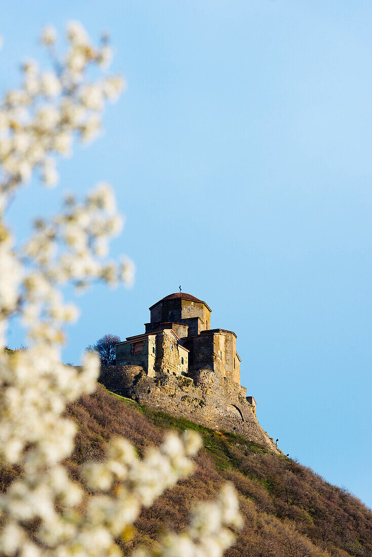 Jvari Church Holy Cross Church, and spring blossom, Mtskheta, historical capital, UNESCO World Heritage Site, Georgia, Caucasus, Central Asia, Asia