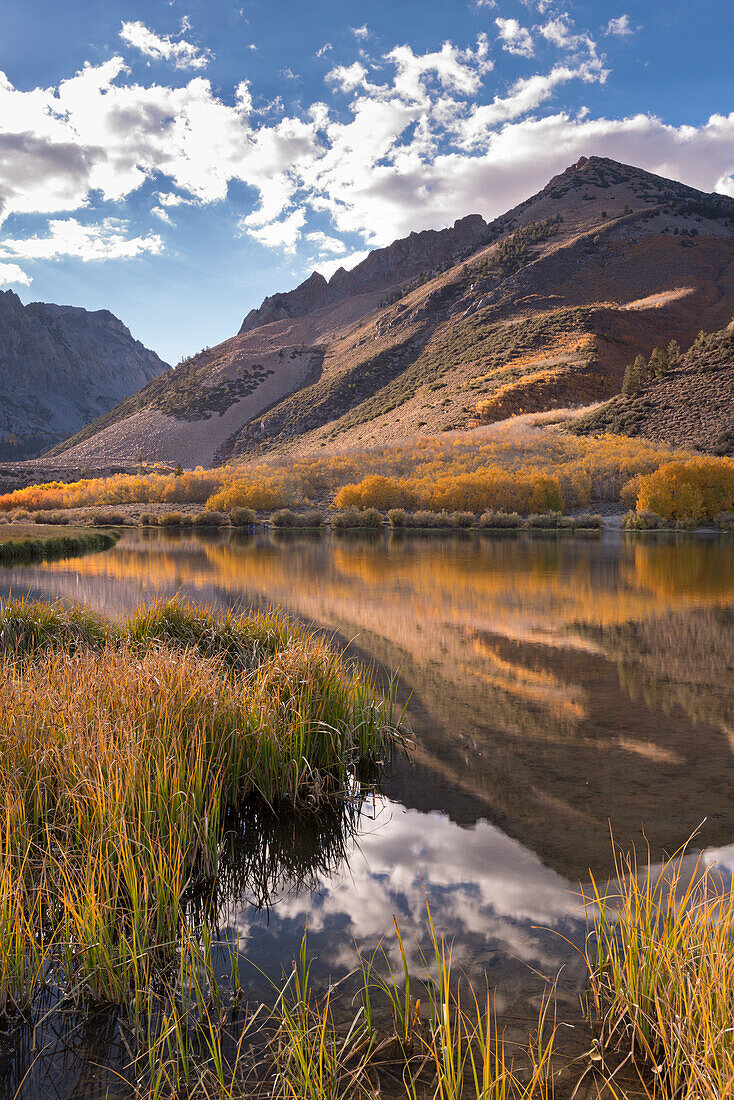 Fall colours line the banks of North Lake near Bishop, Eastern Sierras, California, United States of America, North America